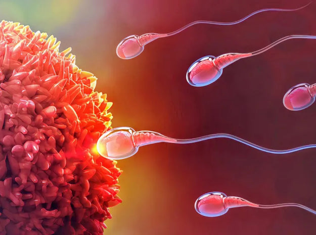 Infertility in Male: Reasons and Treatment