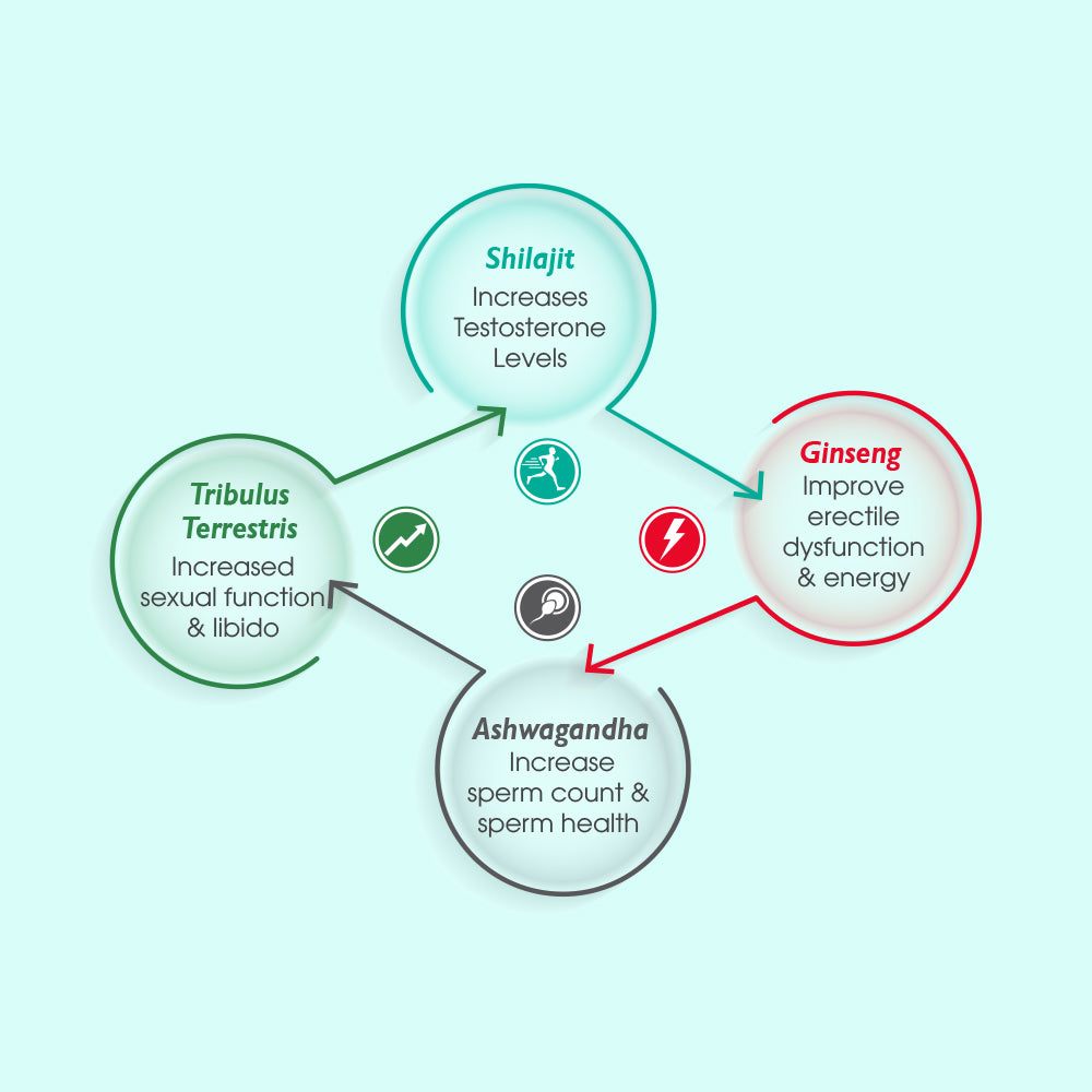 4Action Capsules